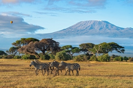 Informe e-País: El comercio electrónico en Kenia 2024