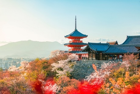 Informe e-País: El comercio electrónico en Japón 2024